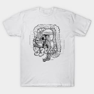 Human Body - Digestive System T-Shirt